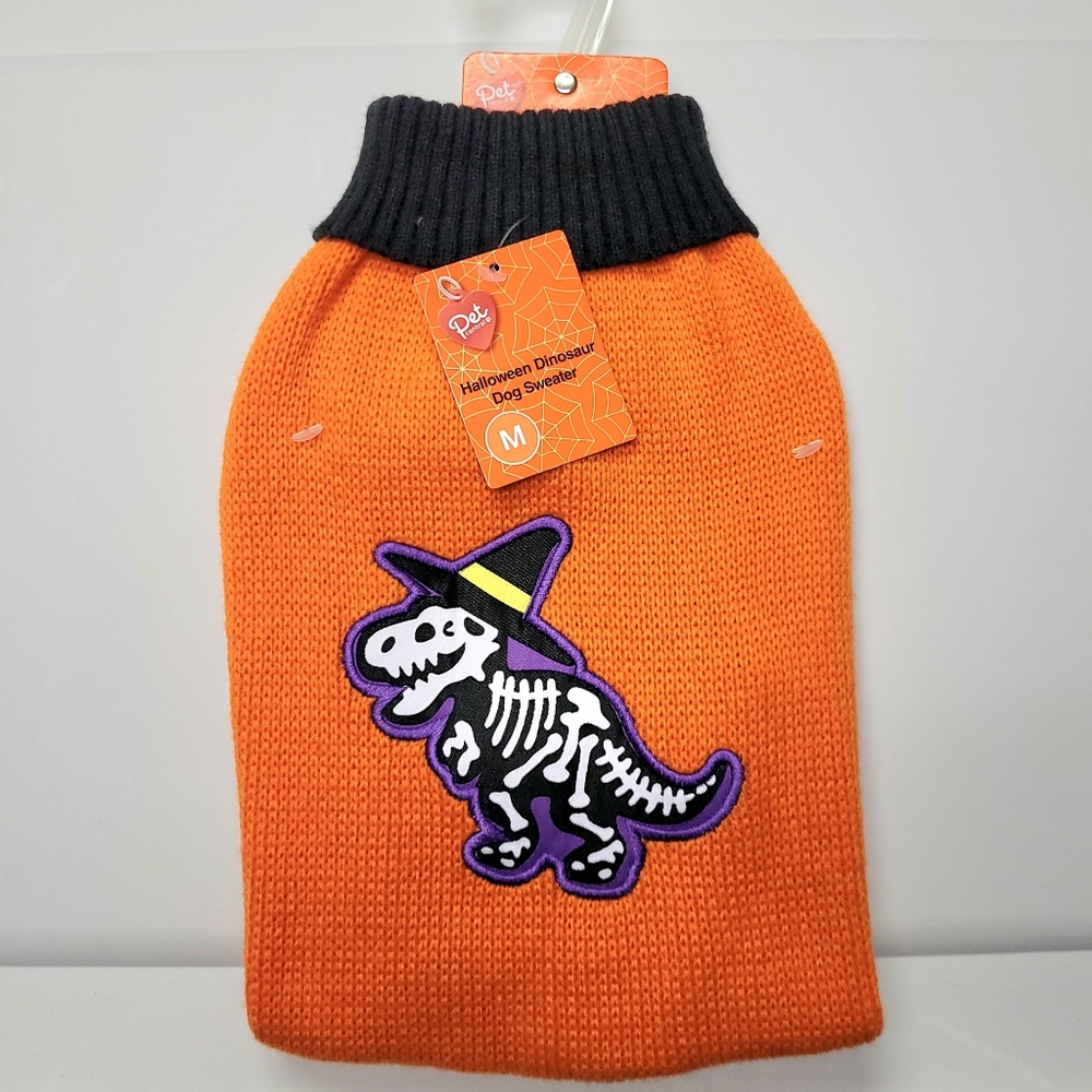 Pet sweater With T-Rex Dinosaur Skeleton with Halloween Witch Hat